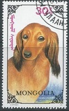 [Dogs, type CDN]