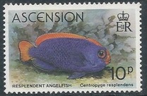 [Fish, type GX]