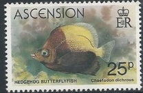 [Fish, type GY]