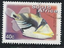 [Fauna and Flora - Fish, type ASM]