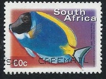 [Fauna and Flora - Fish, type ASO]