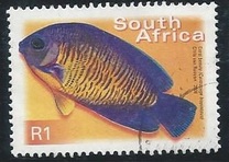 [Fauna and Flora - Fish, type ASS]