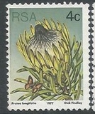 [Flora - Protea Plants, Tip PJ]