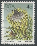 [Flora - Protea Plants, Tip PJ]