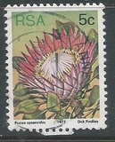 [Flora - Protea Plants, Tip PK]