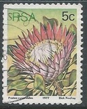 [Flora - Protea Plants, Tip PK]