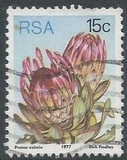 [Flora - Protea Plants, Tip PQ]