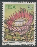 [Flora - Protea Plants, Tip PK]