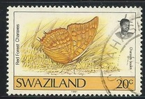 [Butterflies, type OR2]
