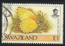 [Butterflies, type OZ2]