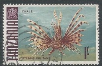 [Marine Life - Fish, 类型 Z]