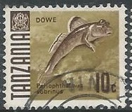 [Marine Life - Fish, 类型 R]