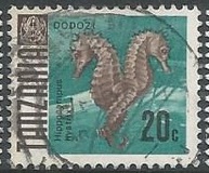 [Marine Life - Fish, 类型 T]