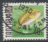 [Marine Life - Fish, 类型 V]