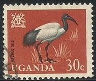 [Birds, type AC]