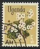 [Flowers, тип AQ]