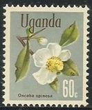 [Flowers, тип AX]