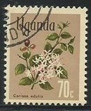 [Flowers, тип AY]