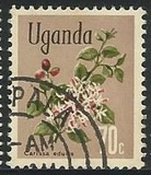 [Flowers, тип AY]