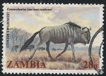 [Local Mammals, نوع JJ]