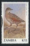 [Birds, प्रकार RF]