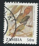 [Birds, type RQ]