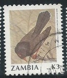 [Birds, type RT]