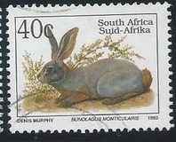 [Endangered Fauna, type ADT]