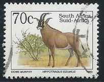 [Endangered Fauna, type ADY]