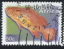 [Fauna and Flora - Fish, Вид ASN]