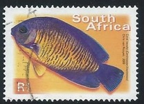 [Fauna and Flora - Fish, Вид ASS]