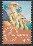 [Cocos Quarantine Station, Scrivi MK]