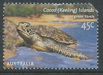 [Turtles, tip OU]