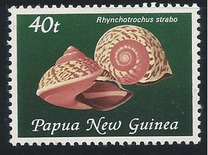 [Land Snail Shells, typ OR]