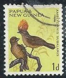 [Birds, typ AV]