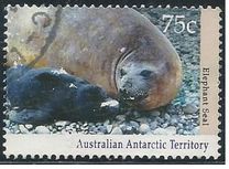 [Antarctic Wildlife, Tip CM]