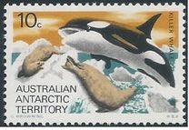 [Marine Life and Aircraft in the Service of Antarctic Research, typ AB]