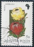 [Flowers, type ETZ]