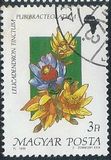 [Flowers, type ETX]
