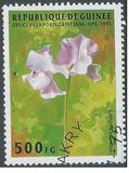[Flowers, Scrivi AQN]
