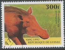 [Mammals, տեսակ ATQ]