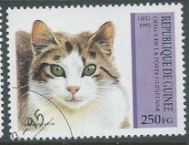 [Cats, type API]