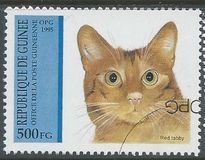 [Cats, type APK]
