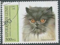 [Cats, type APJ]