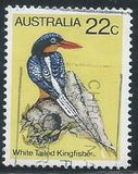 [Birds, type TW]