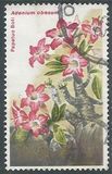 [Flowers, typ IN]
