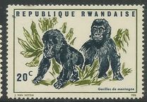 [Local Fauna - Mountain Gorilla, Tip IT]