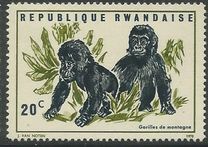 [Local Fauna - Mountain Gorilla, Tip IT]