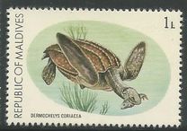 [Turtle Conservation Campaign, type AFK]