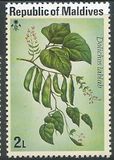 [Vegetables, type YB]